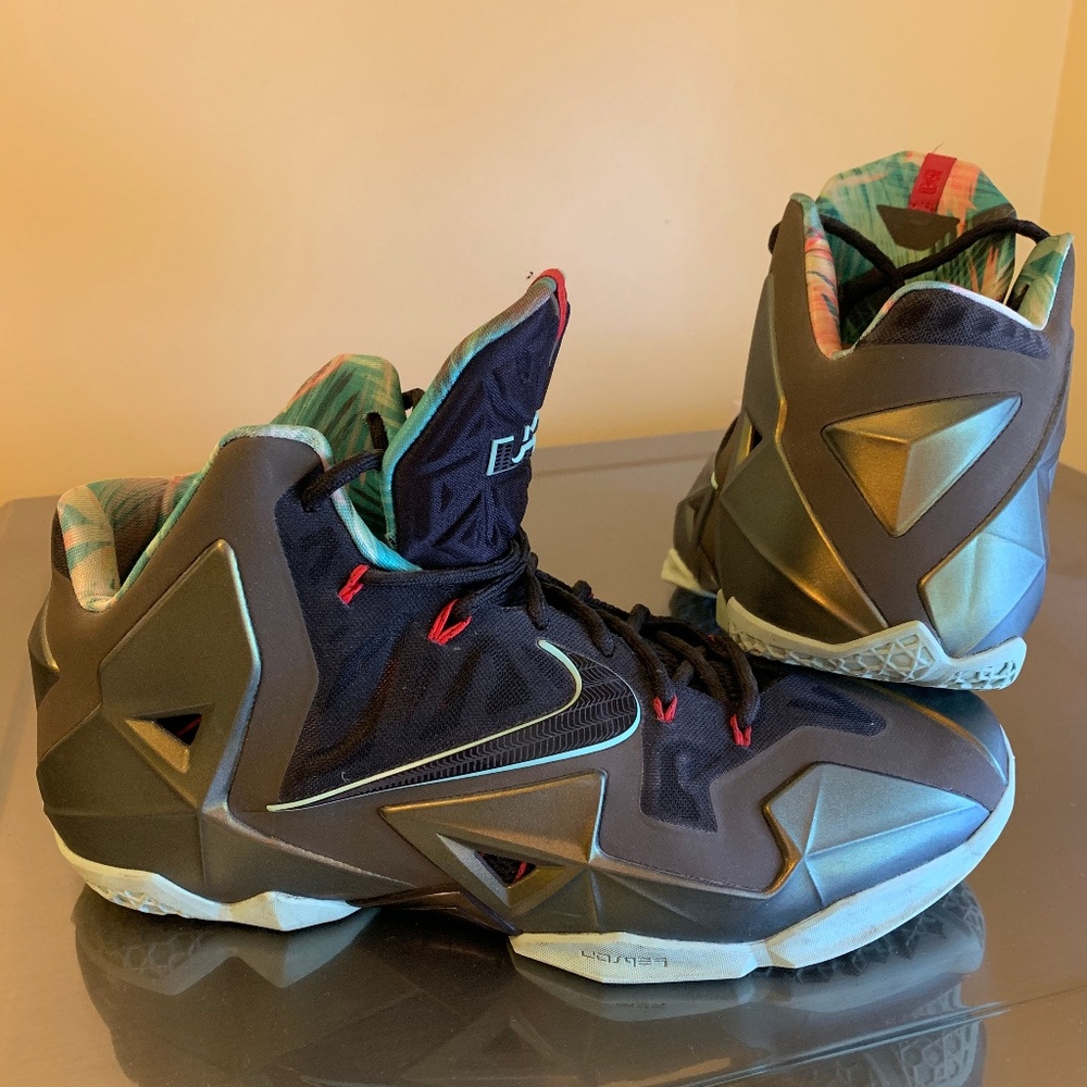 Nike LeBron 11 Kings Pride Size 12